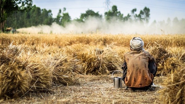 Farmer